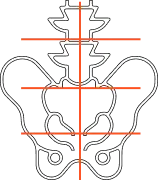 benefit icon