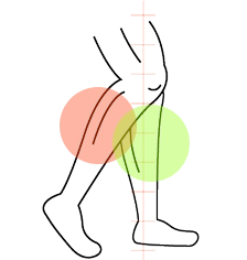 Illustration of a person's legs with highlighted knee and hip areas on a white background